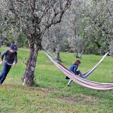 Quinta Do Santinho Villa Амаранте Екстериор снимка