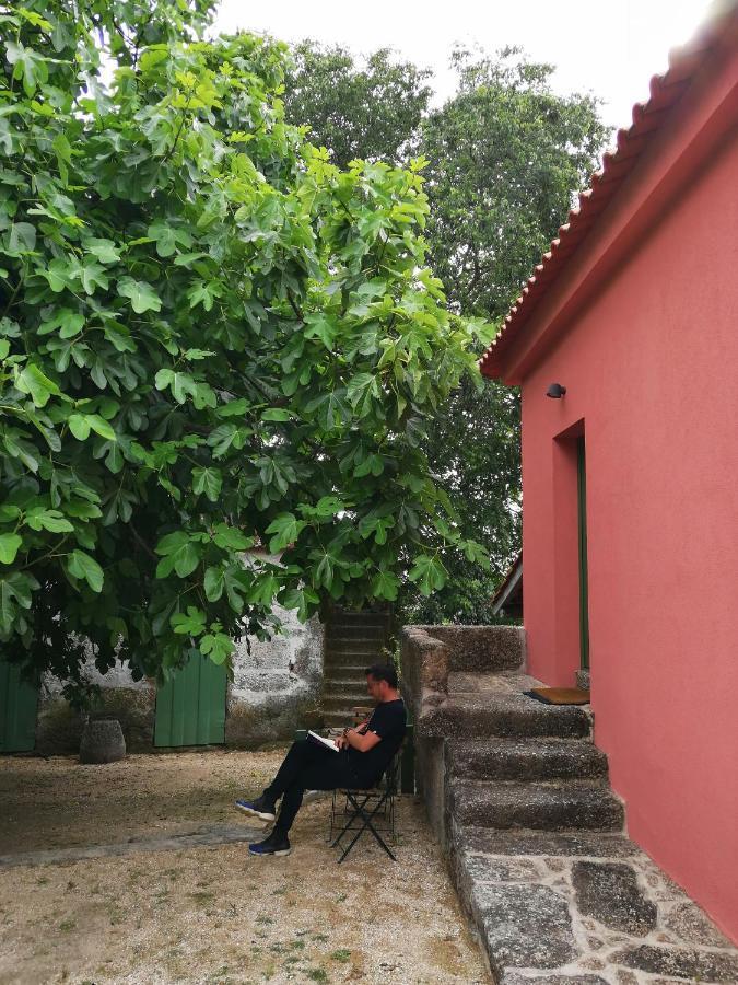 Quinta Do Santinho Villa Амаранте Екстериор снимка