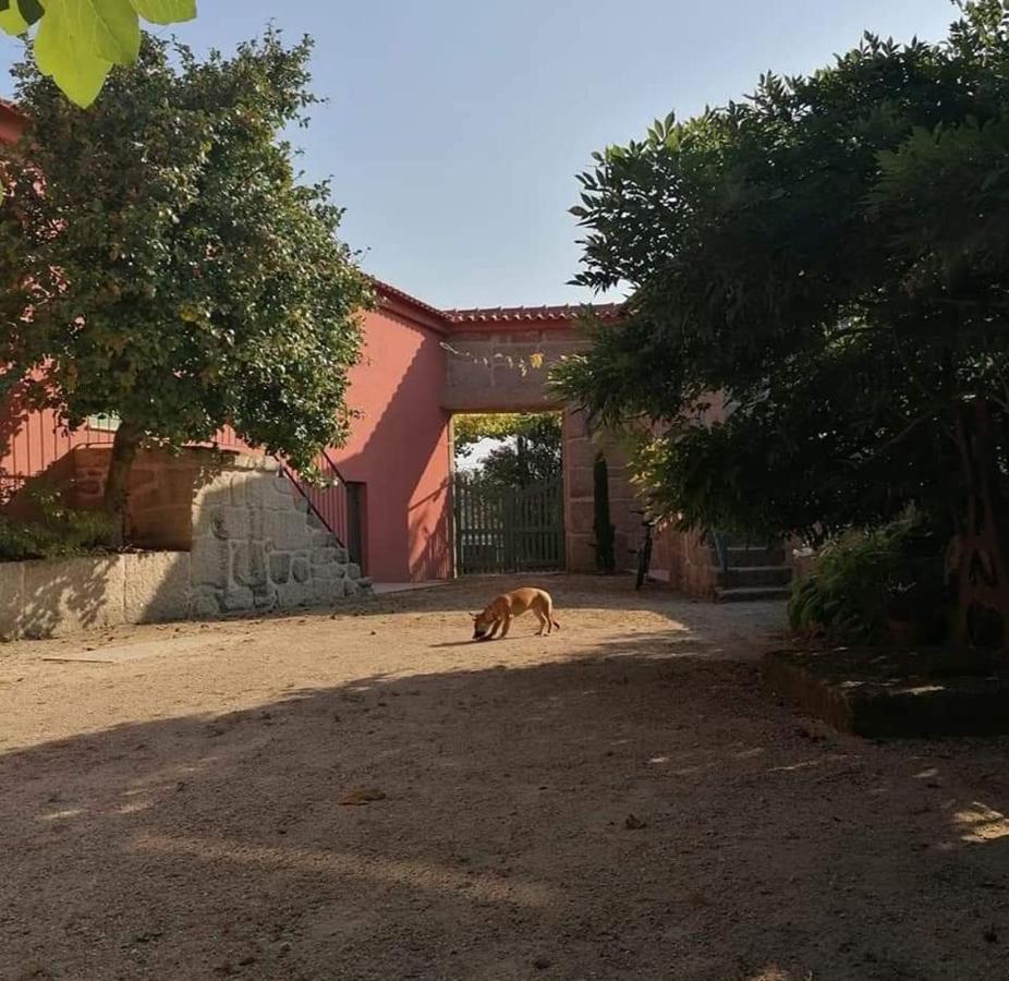 Quinta Do Santinho Villa Амаранте Екстериор снимка