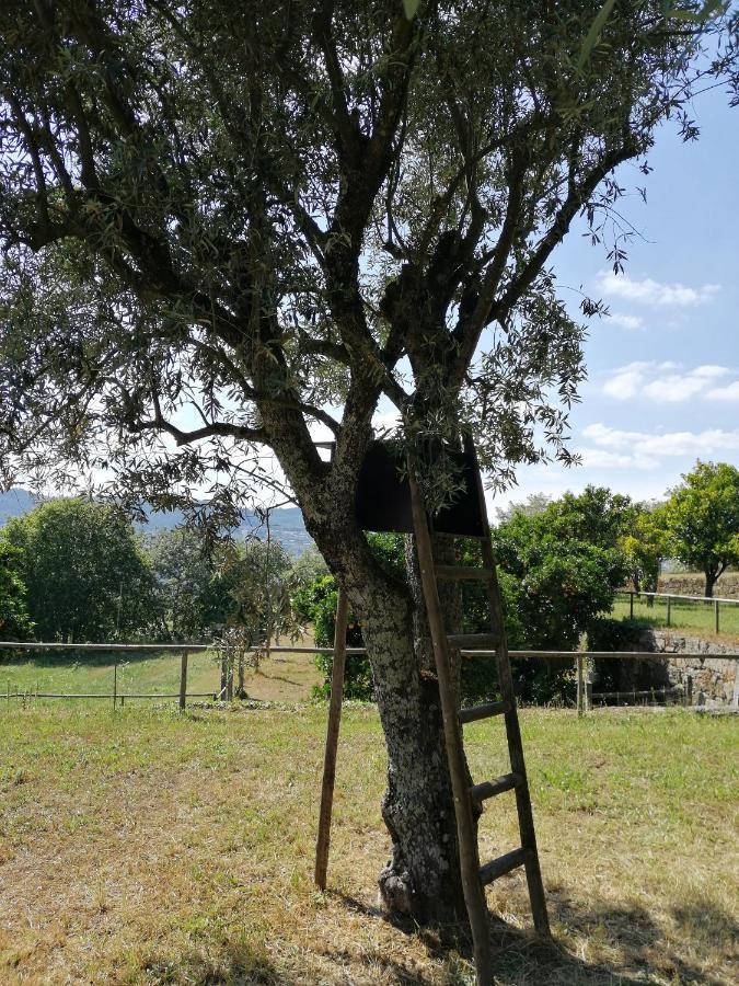 Quinta Do Santinho Villa Амаранте Екстериор снимка