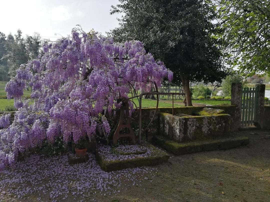 Quinta Do Santinho Villa Амаранте Екстериор снимка