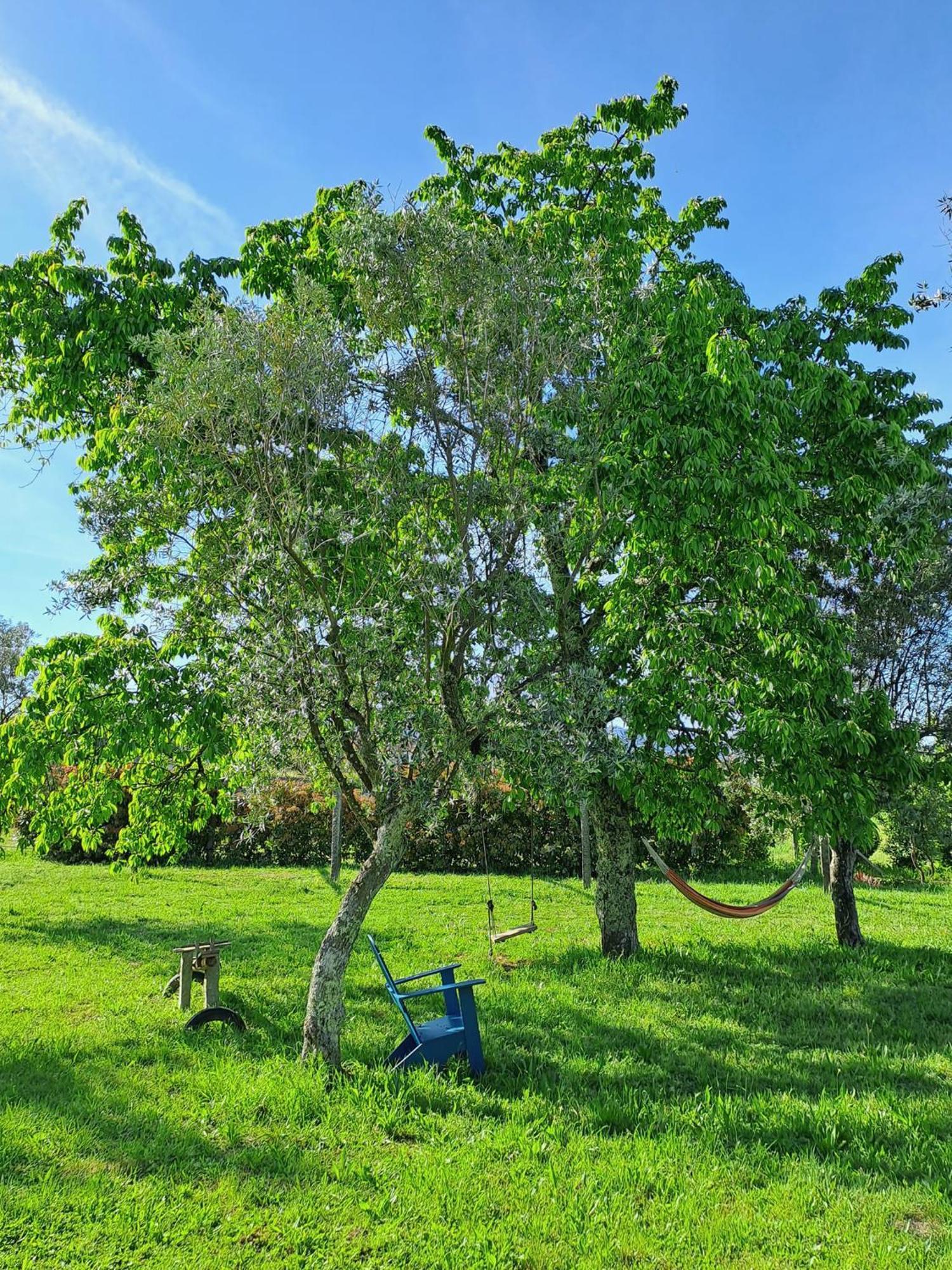Quinta Do Santinho Villa Амаранте Екстериор снимка